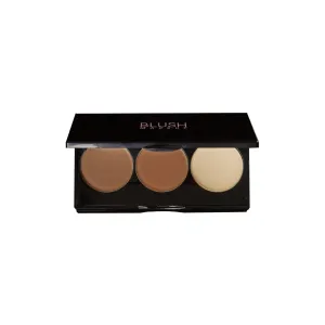 Blush Makeup Cosmetics Contour Palette - 3 Well Powder