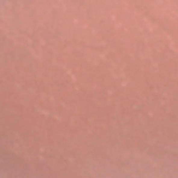 Clarins Natural Lip Perfector 12ml