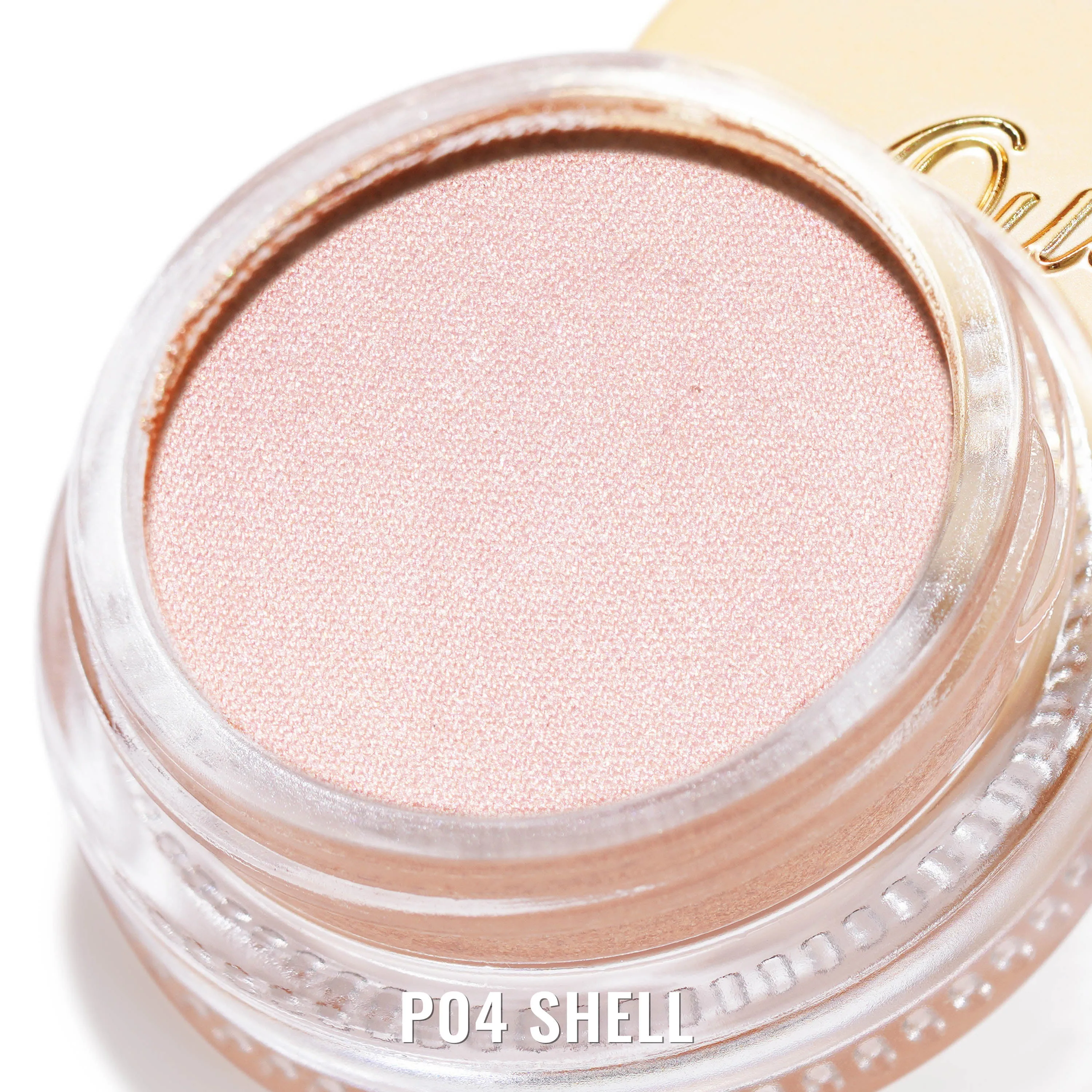 Cream Color | P04 Shell