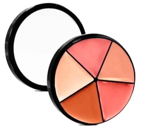 Lip Palettes
