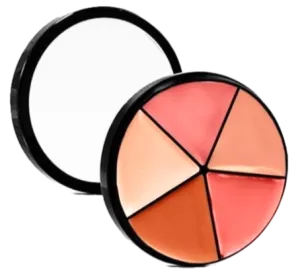 Lip Palettes
