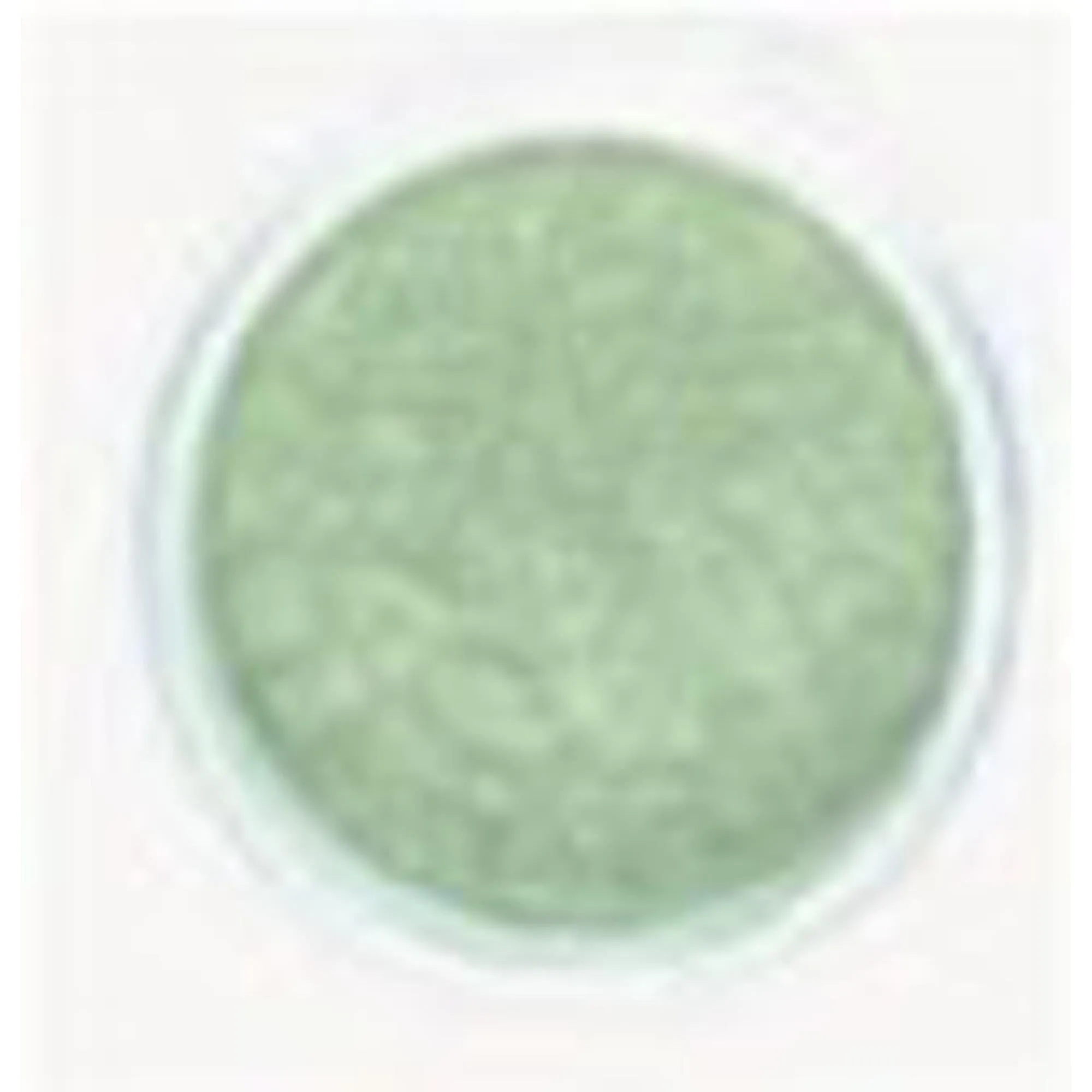 "Luster Powder Shaker In Oro Verde"