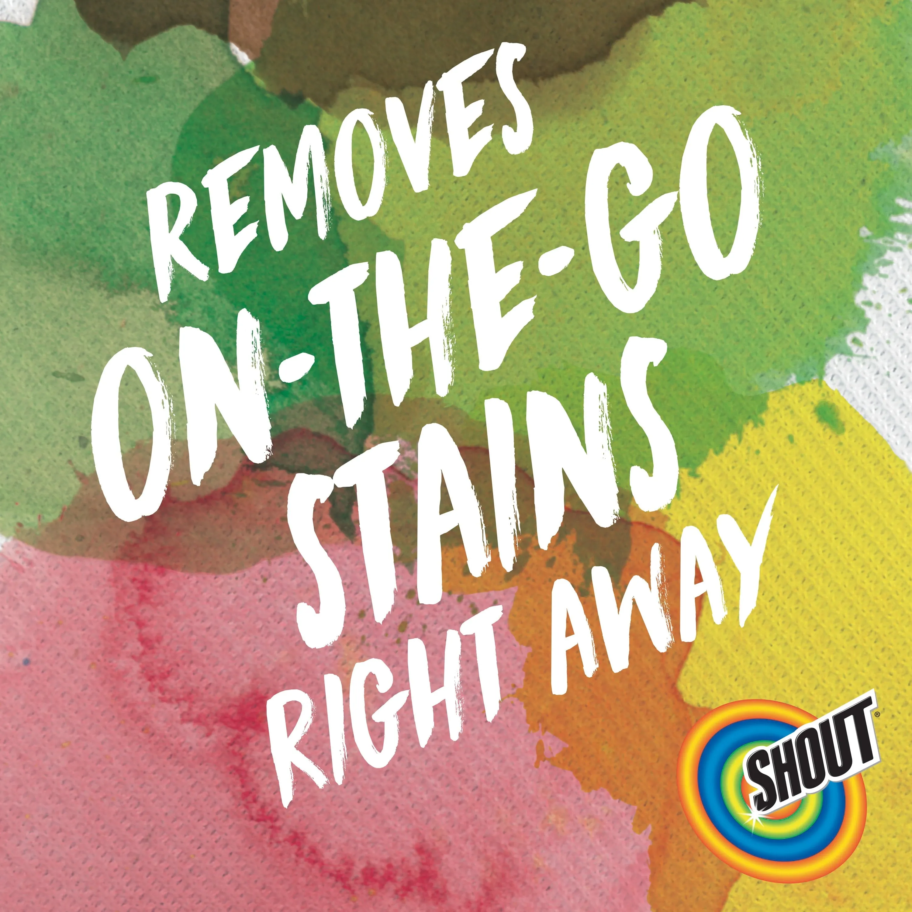 Shout Wipe & Go, Laundry Instant Stain Remover, 12 Wipes