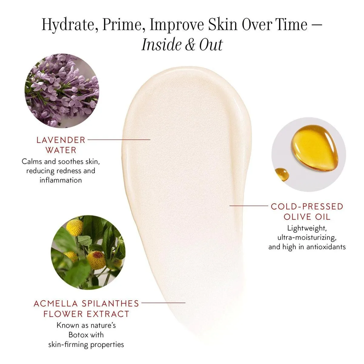 The Beautiful Primer