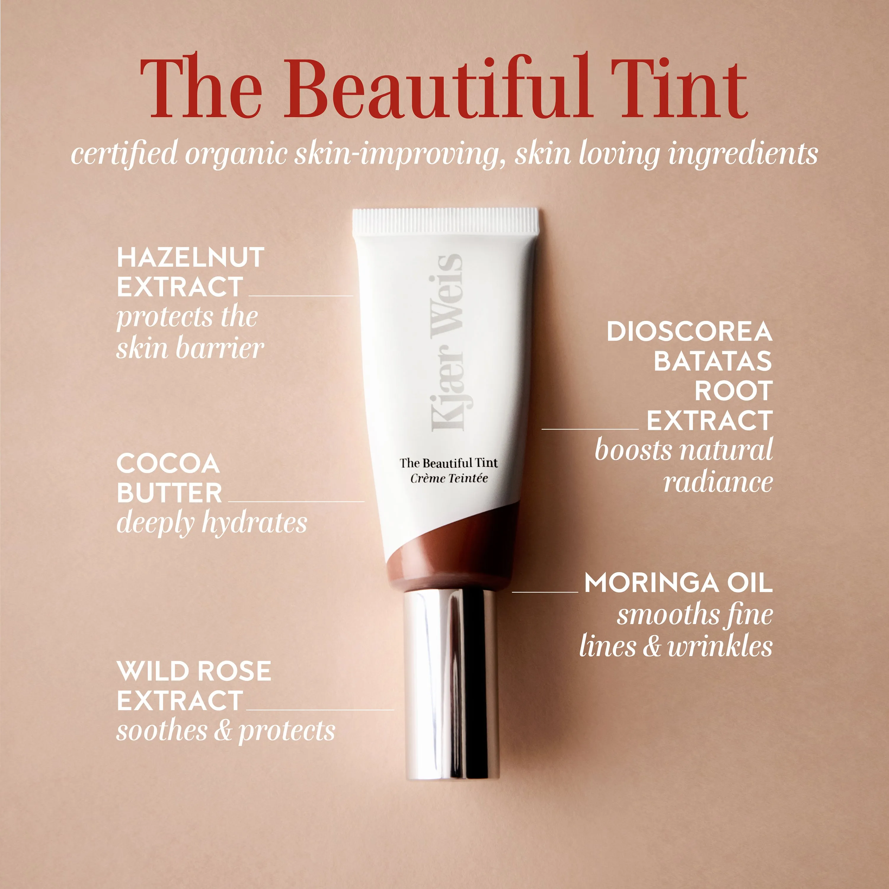 The Beautiful Tint - Deep 2