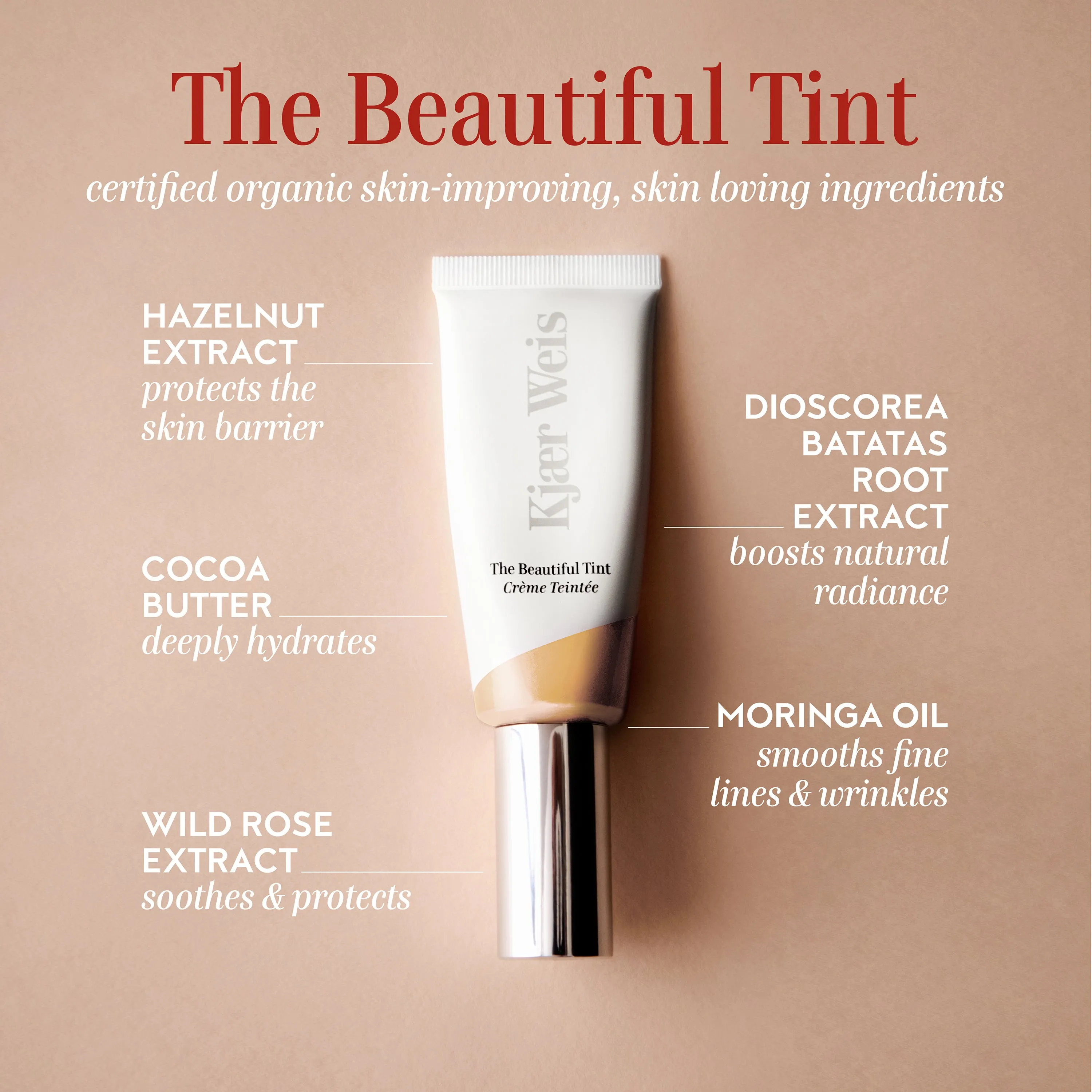 The Beautiful Tint - Fair 1