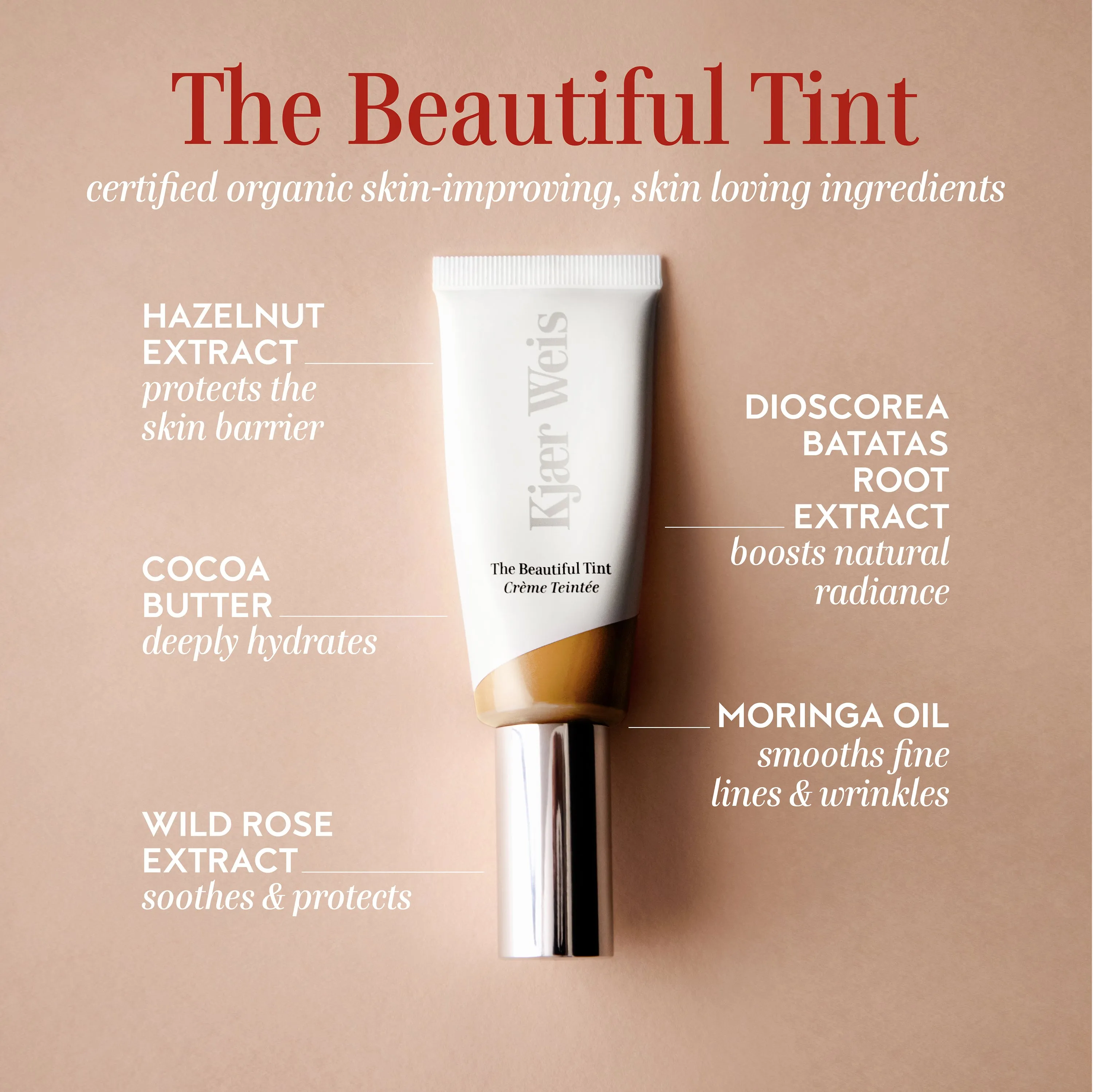 The Beautiful Tint - Medium 1